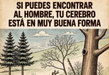 Reto visual invernal: encuentra el rostro oculto entre los árboles nevados