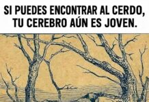 Reto visual vintage: encuentra al cerdo escondido en la escena del picnic