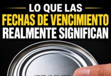 Fechas de caducidad y consumo preferente: cómo interpretarlas antes de desechar un alimento