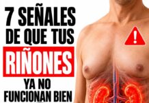 Siete señales silenciosas de un posible fallo renal que suelen pasar desapercibidas