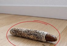 ¿Qué es este extraño aparato? Se trata de un dispositivo de tracción cervical