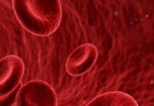 ¿Tu tipo de sangre influye en cómo envejeces? Esto es lo que se sabe