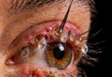Estas son las consecuencias de dormir con maquillaje en los ojos (y lo que vive en tus pestañas)