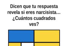 ¿Cuántos cuadrados ves? El acertijo que dicen que revela si eres narcisista