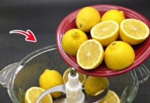 Cómo conservar limones por meses: 4 métodos simples para que no se echen a perder