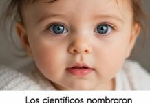 Tras un largo análisis, especialistas llegaron a una conclusión inesperada sobre el nombre que muchos consideran el más hermoso