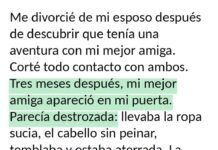 Odié a mi mejor amiga por destruir mi matrimonio… hasta la noche en que se desmayó en mi cocina