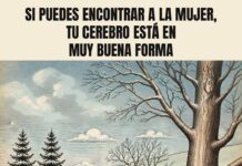 Reto visual: ¿puedes encontrar a la mujer escondida entre los árboles nevados?