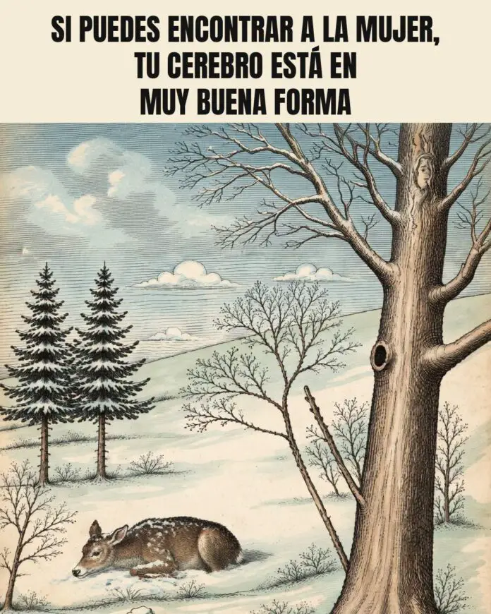 838620661_1132015756060282_1747211218539253810_n