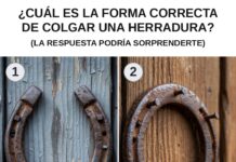¿Cuál es la forma correcta de colgar una herradura? La leyenda que lo explica