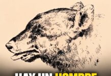 ¿Puedes encontrar al hombre escondido en el rostro de este perro?