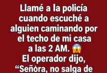 Llamé a la policía porque alguien caminaba sobre el techo de mi casa a las 2 de la madrugada. Pero lo que me dijo el operador me dejó helada.