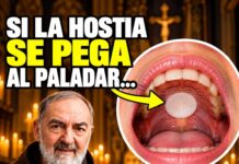 Cuando la hostia se pega al paladar: 5 significados según la espiritualidad del Padre Pío