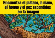 Desafío visual: encuentra el plátano, la mano, el hongo y el pez escondidos en la imagen
