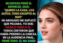 Mi esposo se quedó con todo en el divorcio… sin saber lo que realmente estaba llevándose.