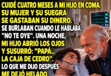 Decían que mi hijo en coma no me oía; una noche abrió los ojos y me susurró dónde estaba la prueba