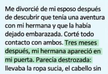 Odié a mi hermana por destruir mi matrimonio… hasta la noche en que perdió al bebé