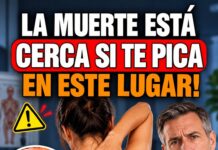 3 zonas del cuerpo con picazón persistente que podrían ser una señal de alerta y conviene no ignorar.
