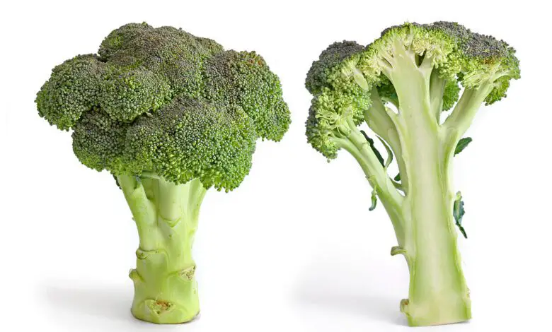 Come Brócoli y Di Adiós a las Enfermedades Cardiovasculares! Descubre su Poder y Una Receta Sorprendente 1