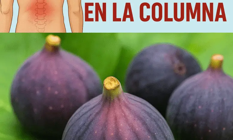 Gracias a Esta Fruta, Mi Abuela Volvió a Caminar, Adiós Dolor en la Columna" - Un Remedio Natural para el Dolor de Espalda 1