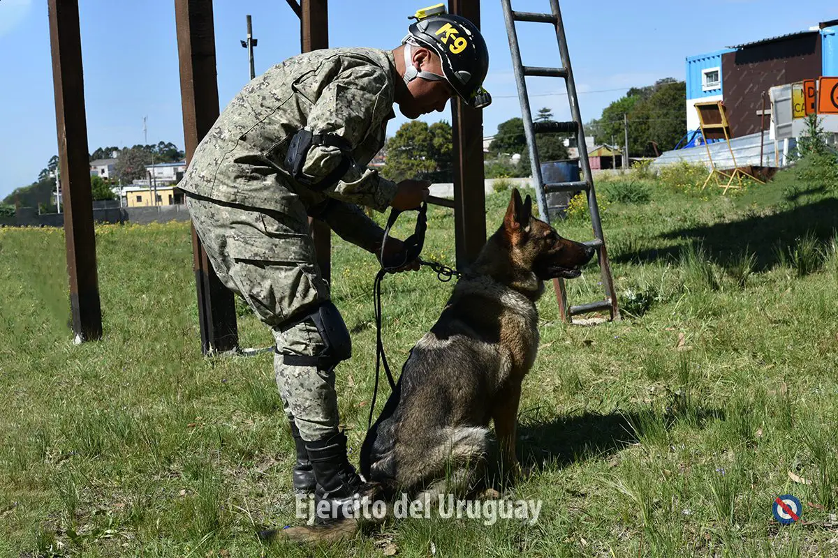 Encuentro-Internacional-K9-5