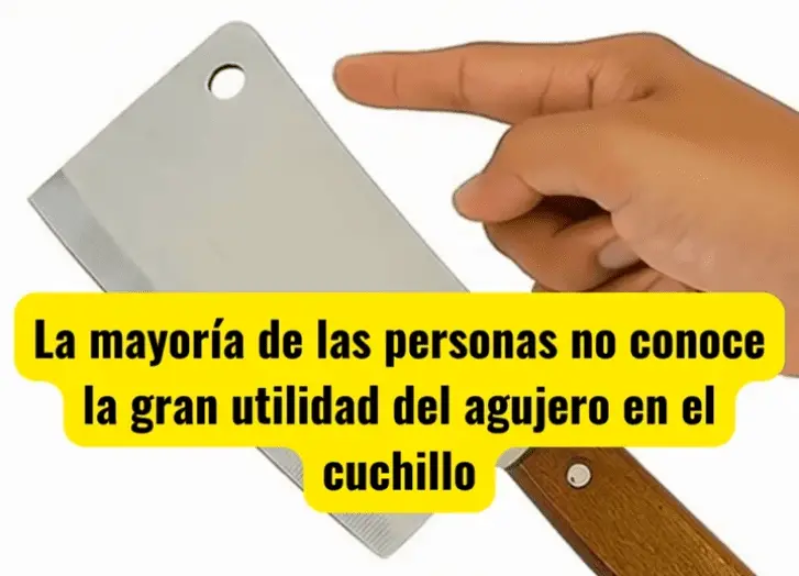 Screenshot 2025-07-30 202748