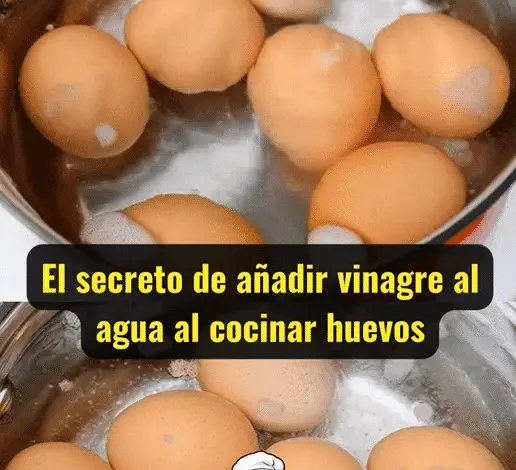 El secreto de añadir vinagre al agua al cocinar huevos: lo que nadie te contó 1