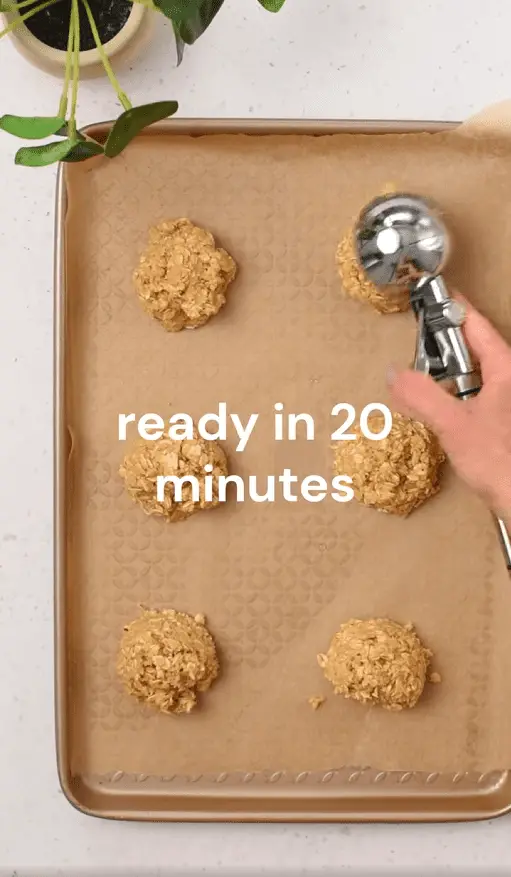 Screenshot 2025-08-07 034942