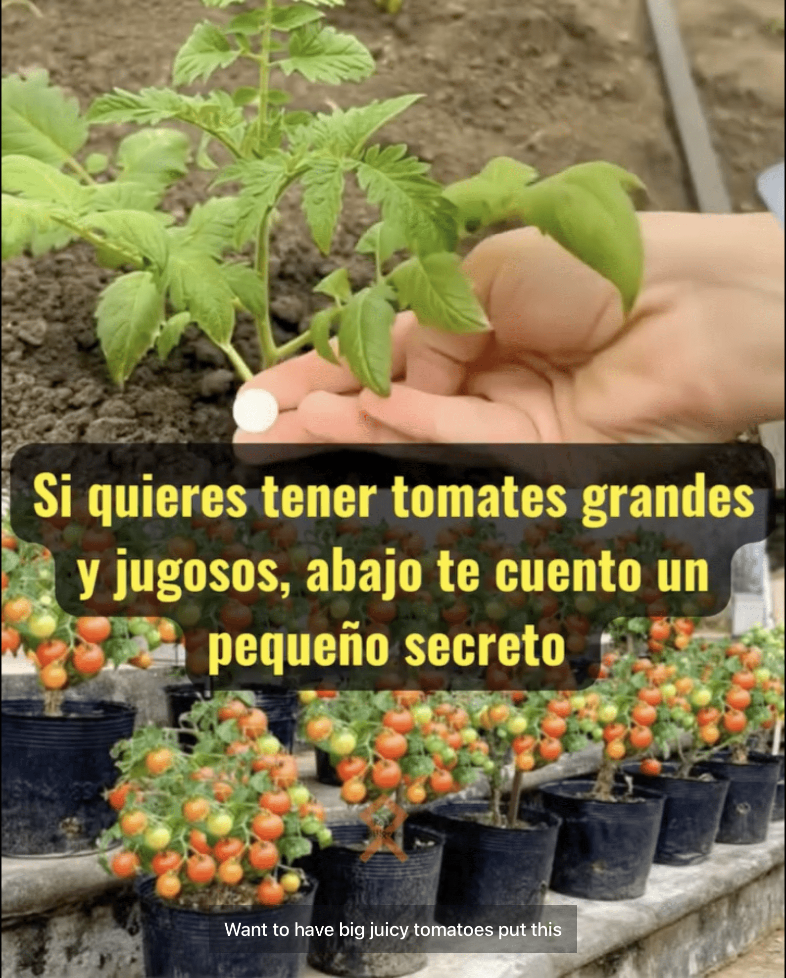 Screenshot 2025-08-09 at 23.45.46