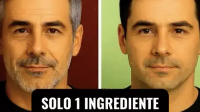 El Ingrediente Casero que Oscurece tu Cabello sin Químicos 3