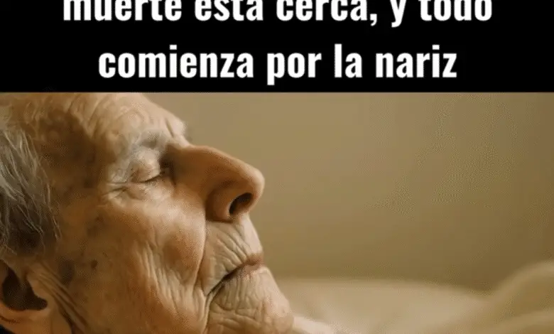 Tu cuerpo sabe cuándo la muerte está cerca, y todo comienza por la nariz 1
