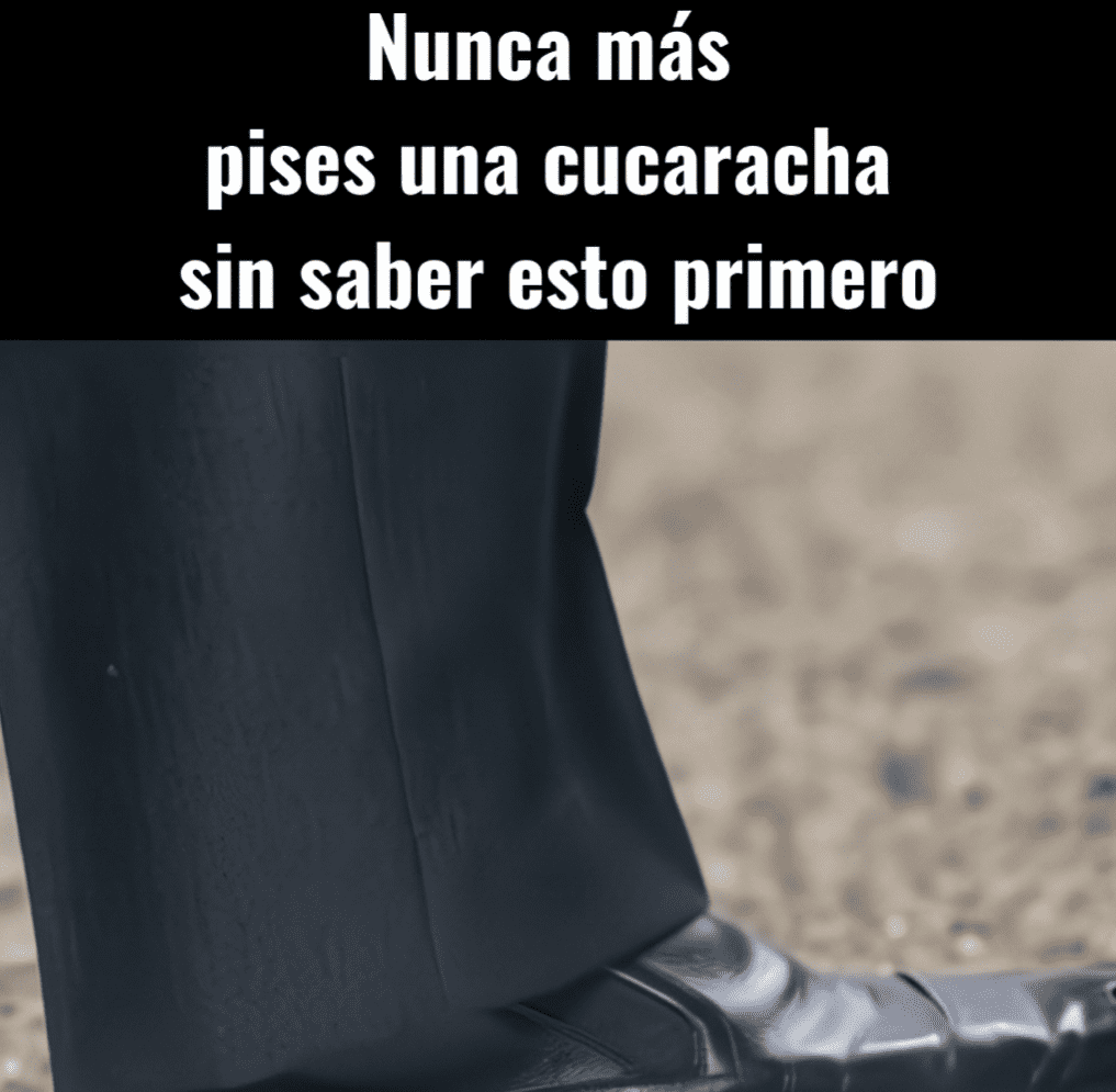 Screenshot 2025-08-30 041136