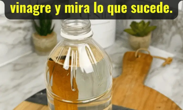 ¡Descubre el poder del vinagre con canela! El truco casero que transforma tu hogar 1