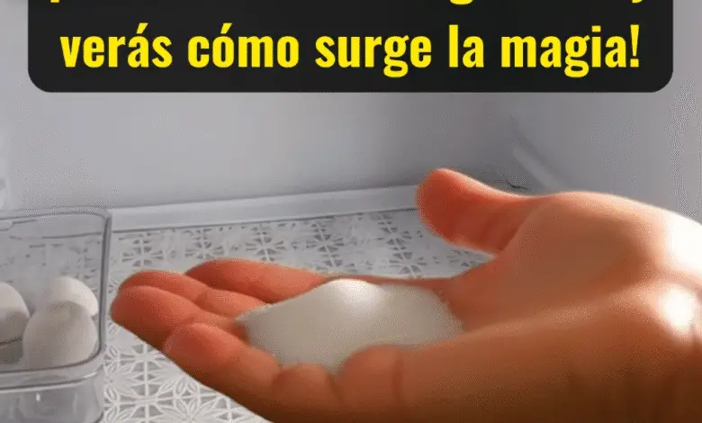 ¡Pon sal en tu refrigerador y verás cómo surge la magia! 1