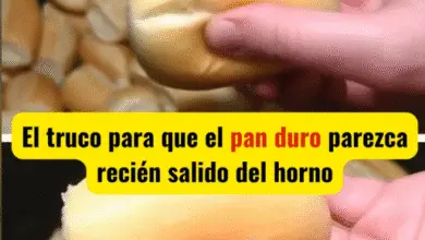 El truco infalible para que el pan duro vuelva a estar crujiente como recién horneado 4