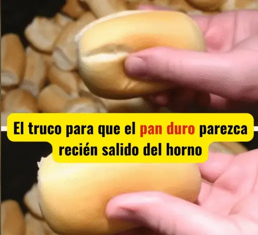 El truco infalible para que el pan duro vuelva a estar crujiente como recién horneado 1