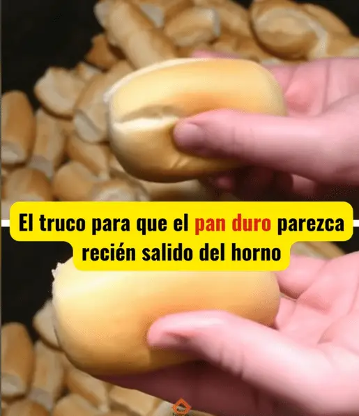 Screenshot 2025-09-03 060305