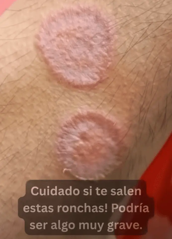 Screenshot 2025-09-10 040642