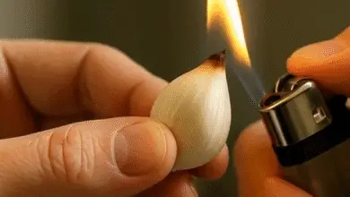 Beneficios de quemar un diente de ajo en casa: ¡hazlo y mira lo que sucede! 5