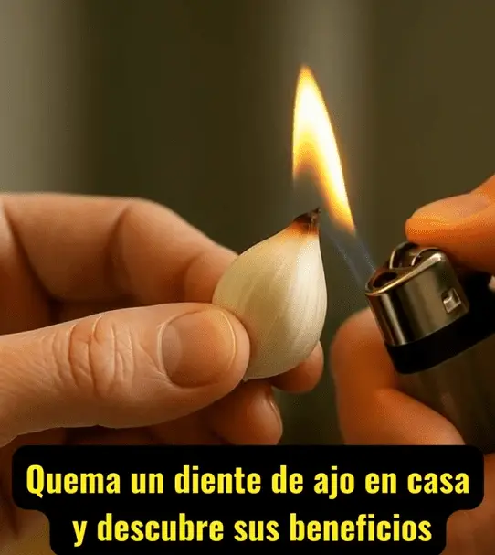 Screenshot 2025-09-10 232044