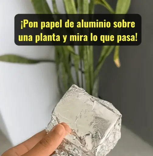 Screenshot 2025-09-26 105824