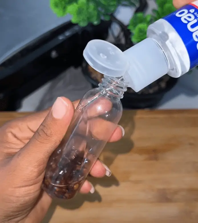 Screenshot 2025-09-27 023004