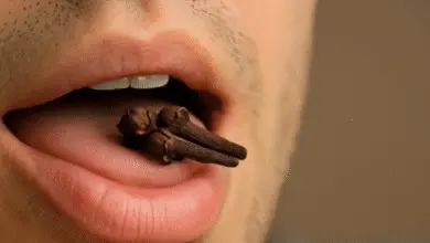 Masticar 2 clavos de olor al día podría salvar tu vida, pero la mayoría de las personas no lo sabe 5