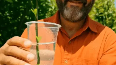 No compres macetas, ¡hazlas en casa con estas 3 ideas fáciles y ecológicas! 12