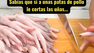 ¿Sabías que si a unas patas de pollo les cortas las uñas…? Lo que pasa te dejará sin palabras 9