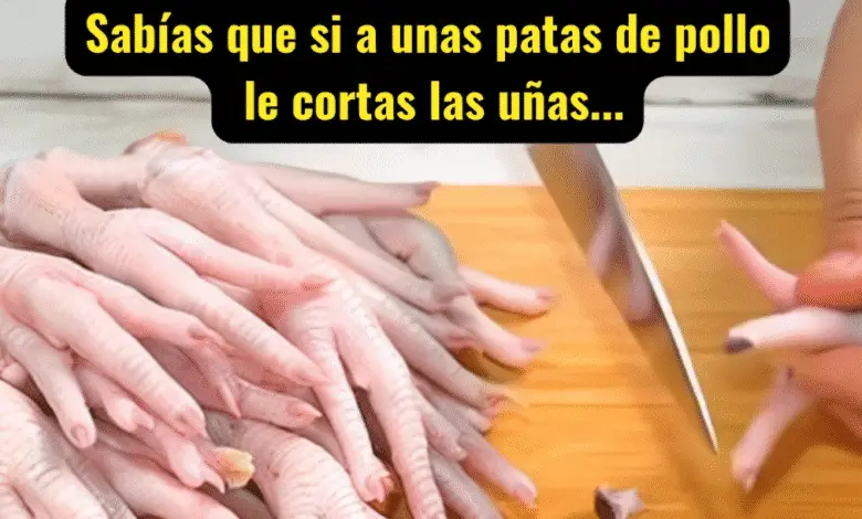 ¿Sabías que si a unas patas de pollo les cortas las uñas…? Lo que pasa te dejará sin palabras 1