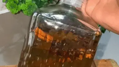 Infusión de Anís Estrellado, Clavo y Canela (Remedio Casero) 7