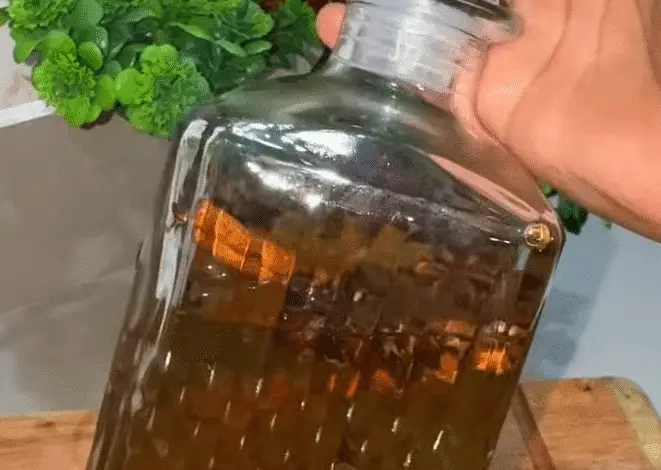 Infusión de Anís Estrellado, Clavo y Canela (Remedio Casero) 1