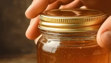 5 Formas Sencillas de Comprobar la Miel en Casa — ¡La Nº3 Sorprendió Incluso a los Apicultores! 5