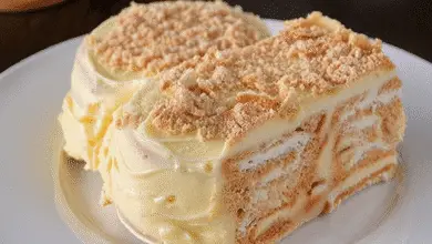 ¡WOW! PASTEL DE GALLETAS MARÍA CON CREMA QUE DERRITE 2